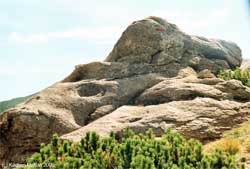 Каменюка